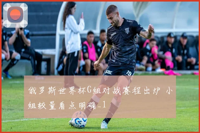 俄罗斯世界杯G组对战赛程出炉 小组较量看点明确_1