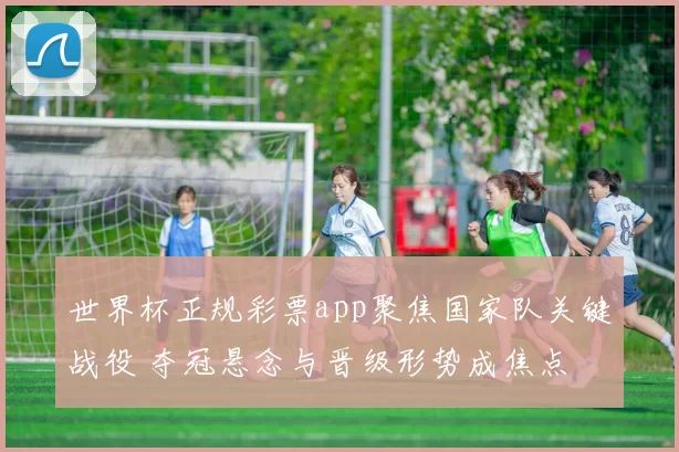 世界杯正规彩票app聚焦国家队关键战役 夺冠悬念与晋级形势成焦点